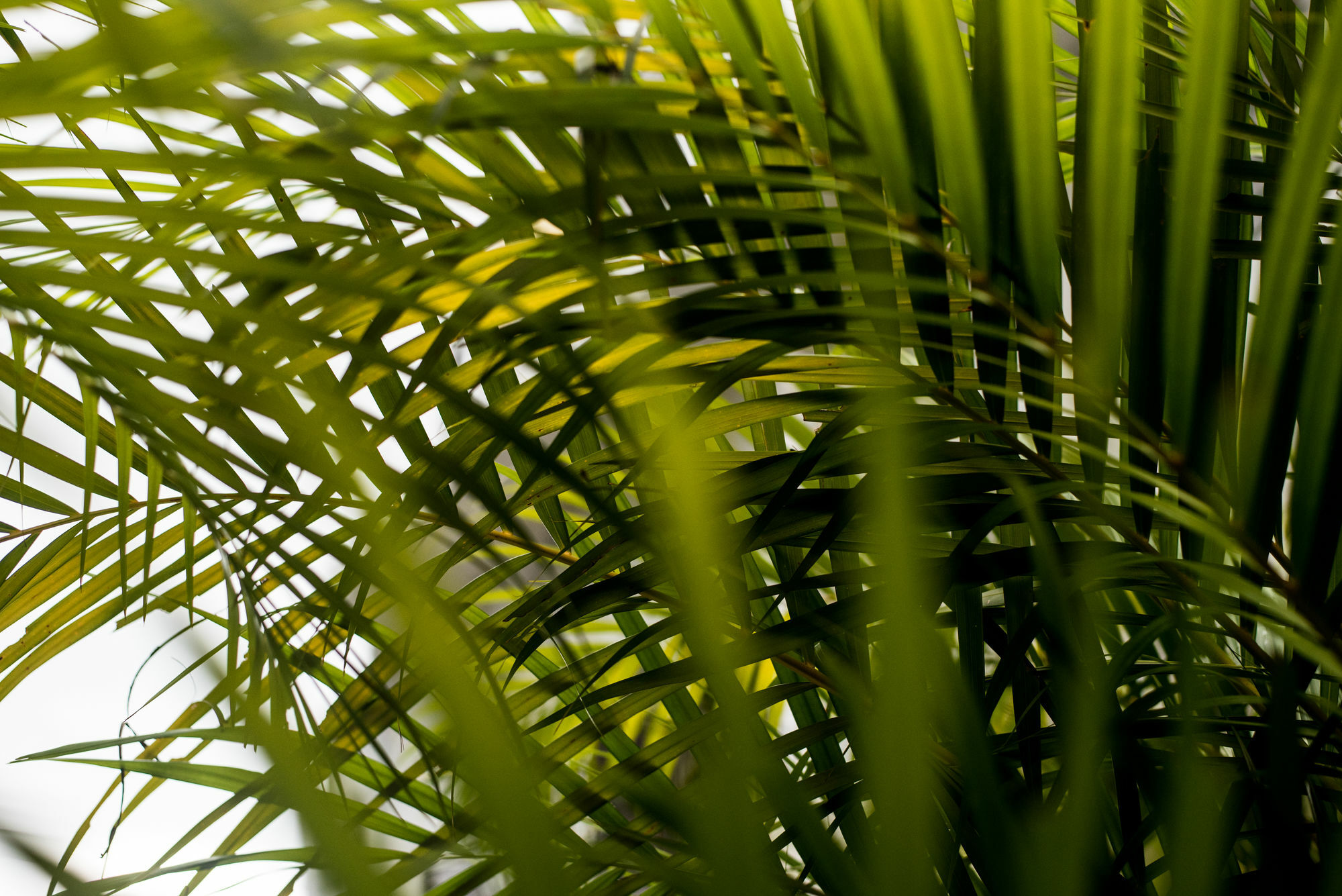 Qué Chévere Rincón Extérieur photo