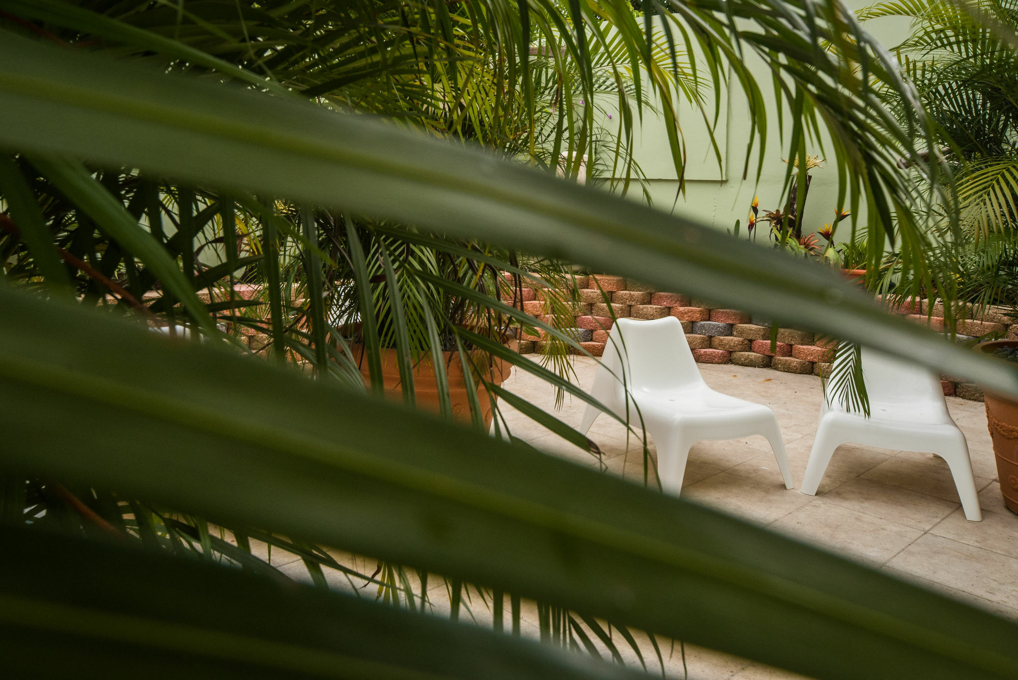 Qué Chévere Rincón Extérieur photo
